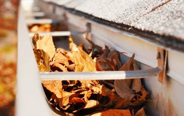 Roughbirchworth gutter cleaning companies