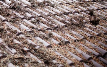 Roughbirchworth roof cleaning companies