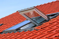 Roughbirchworth roof window